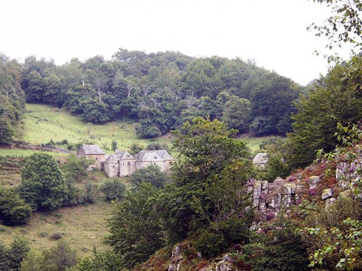 Bez Bedène :maisons du village - Campouriez