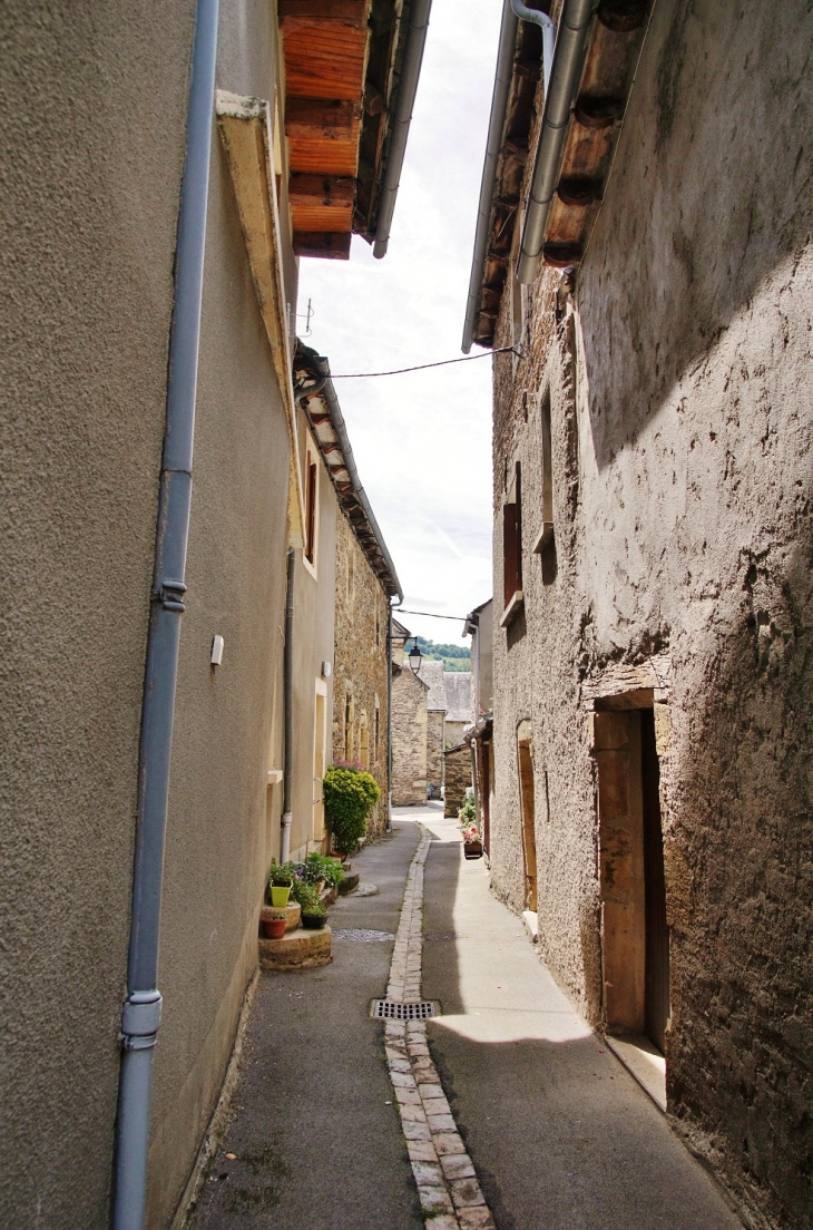 Le Village - Castelnau-de-Mandailles