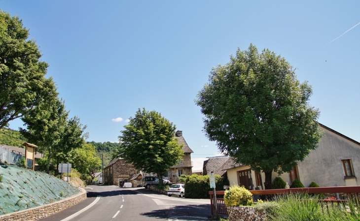 Le Village - Castelnau-de-Mandailles