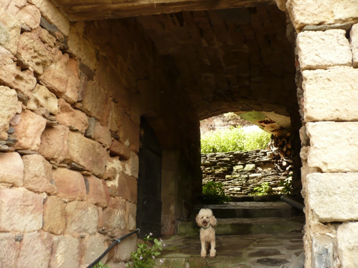 Passage - Castelnau-Pégayrols