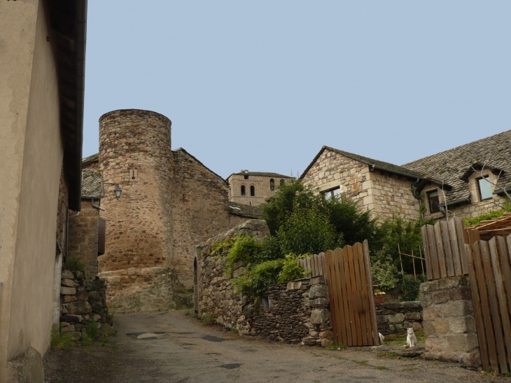 Ruelle montant vers l'église Saint-Michel. - Castelnau-Pégayrols