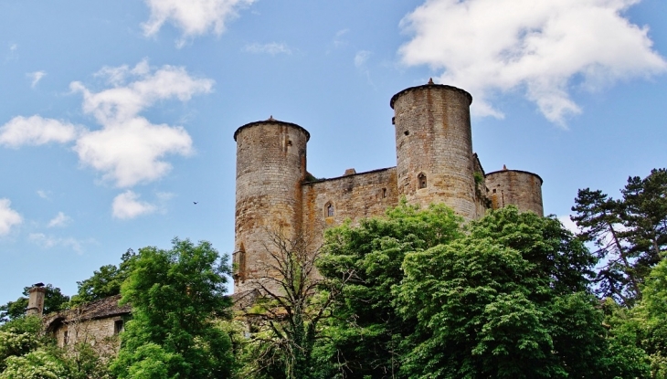 Le Château - Causse-et-Diège