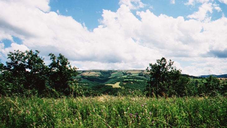 Campagne aux alentours de combret