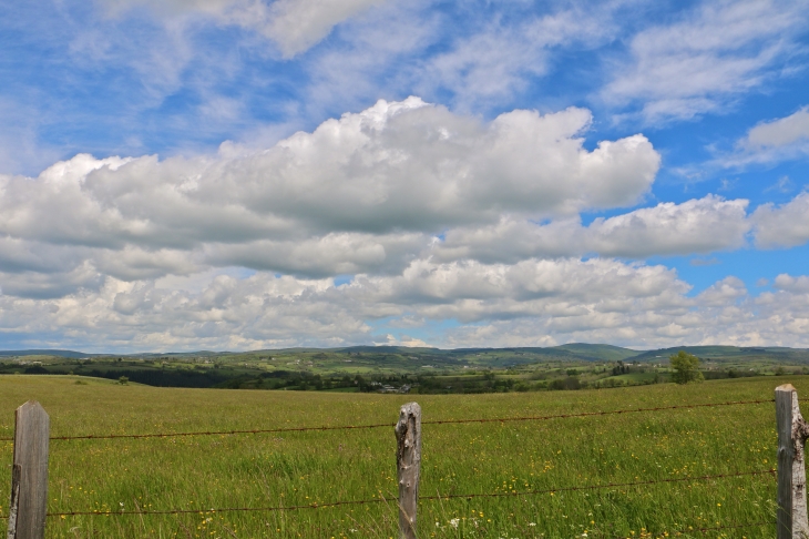 Aux alentours du hameau d'Aunac. - Condom-d'Aubrac