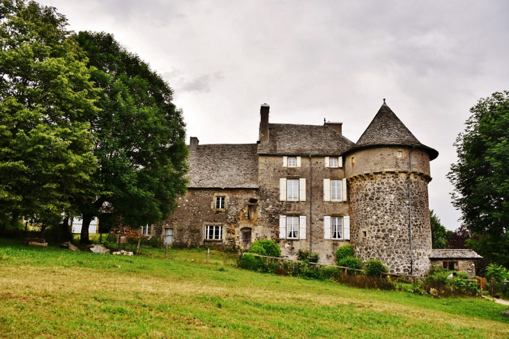 Château de Salgues - Condom-d'Aubrac