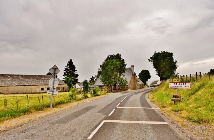 Salgues - Condom-d'Aubrac