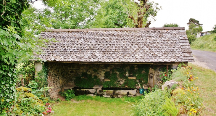 Le Lavoir - Condom-d'Aubrac