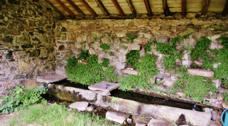 Le Lavoir - Condom-d'Aubrac