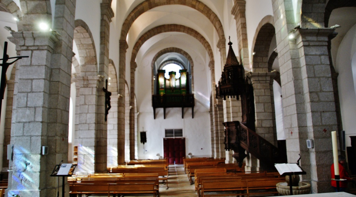  église Saint-Martin - Entraygues-sur-Truyère