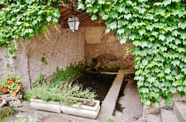 Lavoir  - Fayet