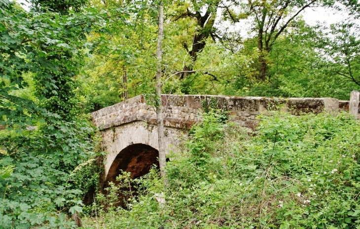 Pont sur la Nuéjouls - Fayet