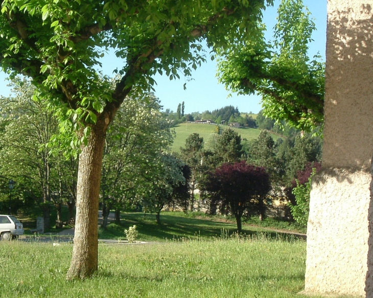 La verdure, les arbres, tilleuls, acacias sous le soleil de mai 2011 - Firmi