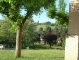 la verdure, les arbres, tilleuls, acacias sous le soleil de mai 2011