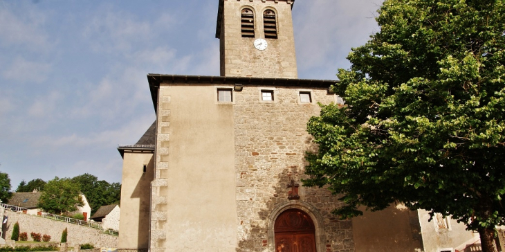  église Saint-Martin - Golinhac