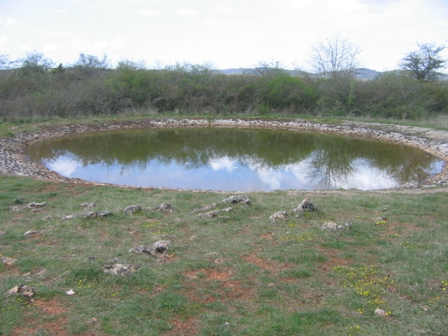 UNE LAVOGNE SUR LE LARZAC A LA BLAQUERERIE  Cn de la COUVERTOIRADE