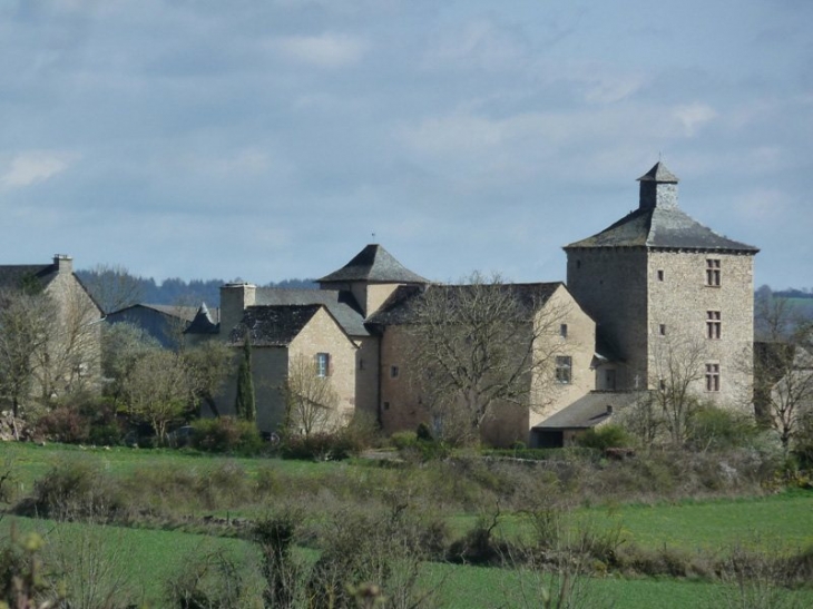 Ortholes - La Loubière