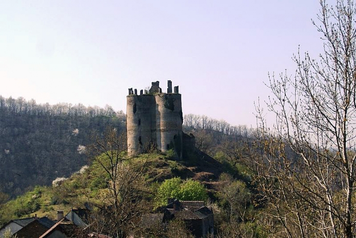 Le château de Roumegous - La Salvetat-Peyralès