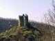 le château de Roumegous