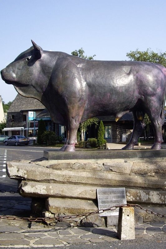 Le symbole de l'Aubrac - Laguiole