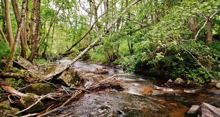 La Rivière - Laguiole