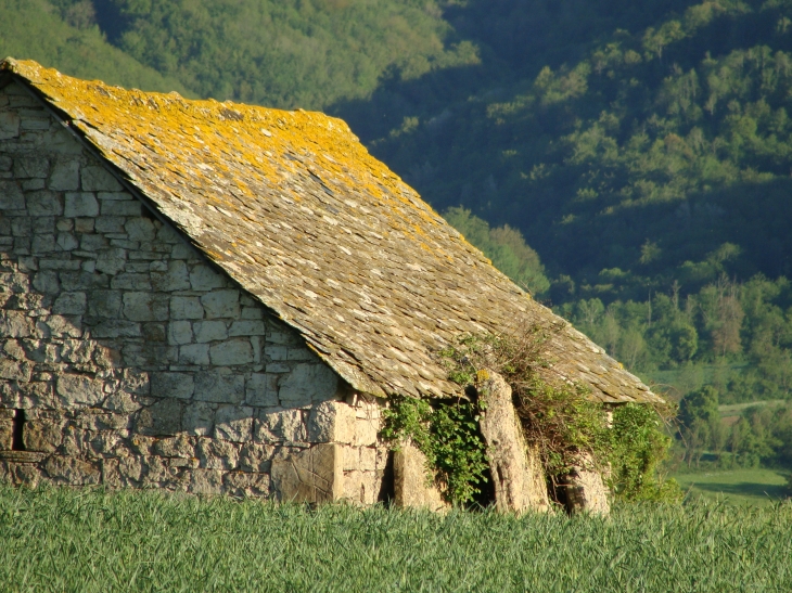 Campagne2 - Laissac