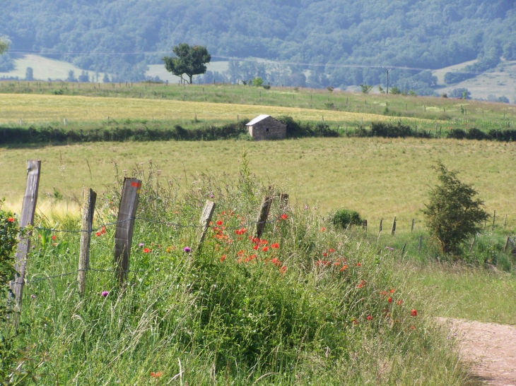 Balade - Laissac