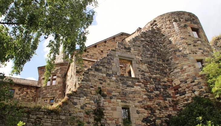 Ruines du Château - Lassouts