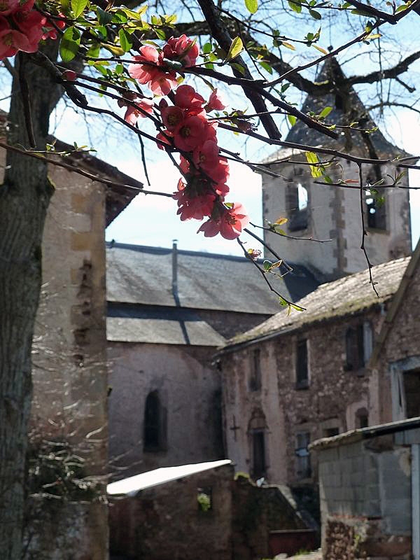 L'église de Saint  Maurice - Laval-Roquecezière