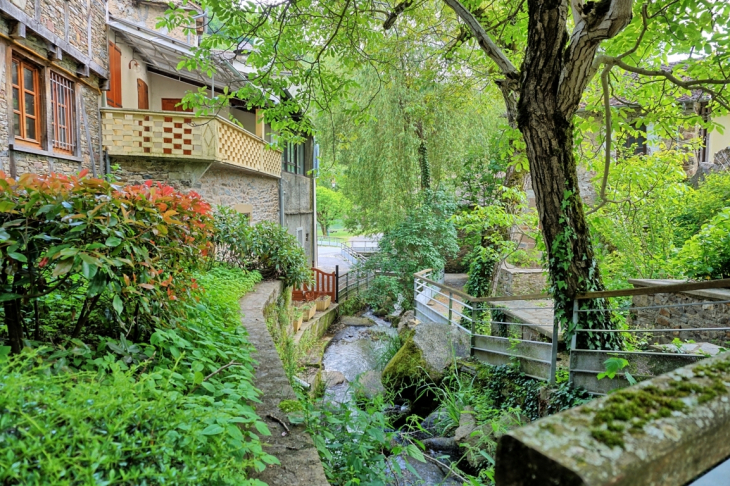 Vue sur le petit ruisseau - Le Truel