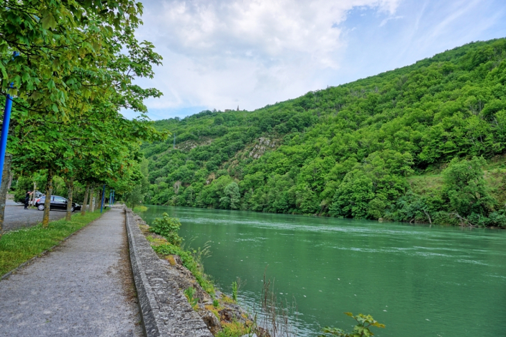 Les berges du Tarn - Le Truel