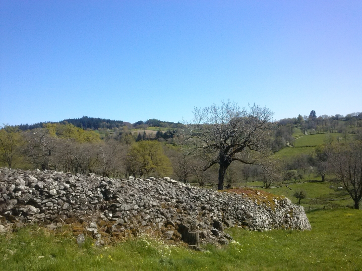 Paysage - Montézic