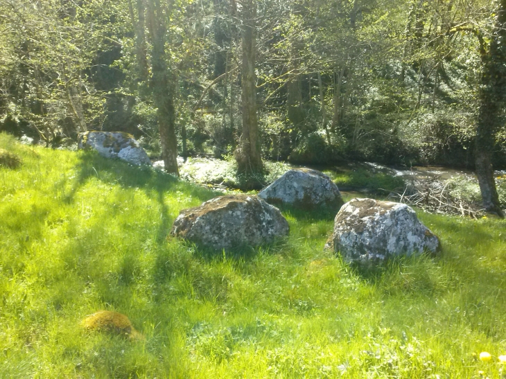 Chemin en courti - Montézic