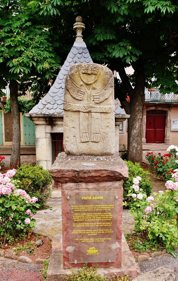 Statue-Menhir (1850 a 2400 avant notre-Here) - Montlaur