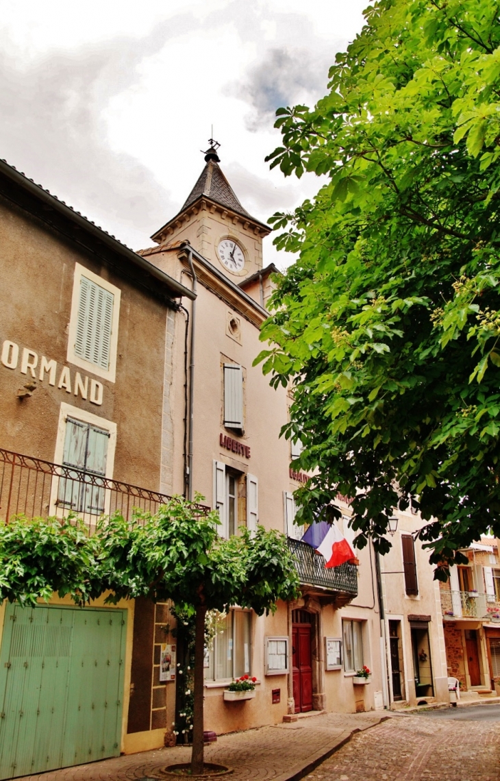 La Mairie - Montlaur