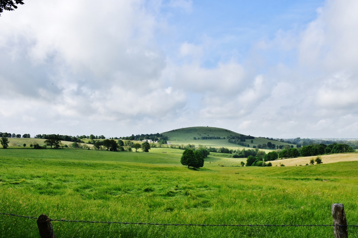 Campagne - Montpeyroux