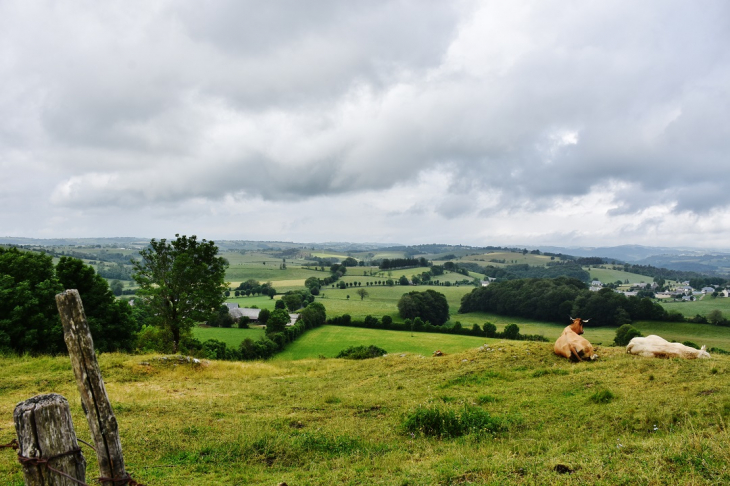 Campagne - Montpeyroux