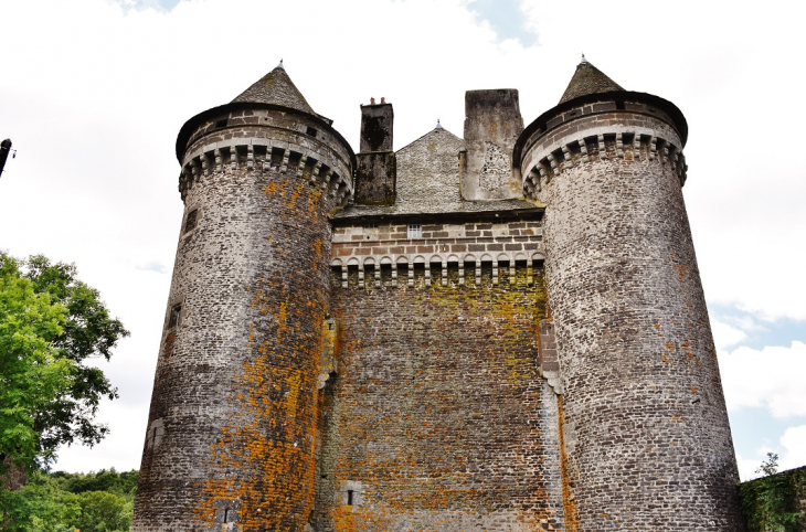 Le Bousquet ( Château ) - Montpeyroux