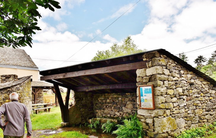 Le Lavoir - Montpeyroux