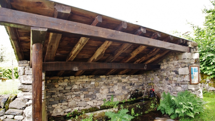 Le Lavoir - Montpeyroux