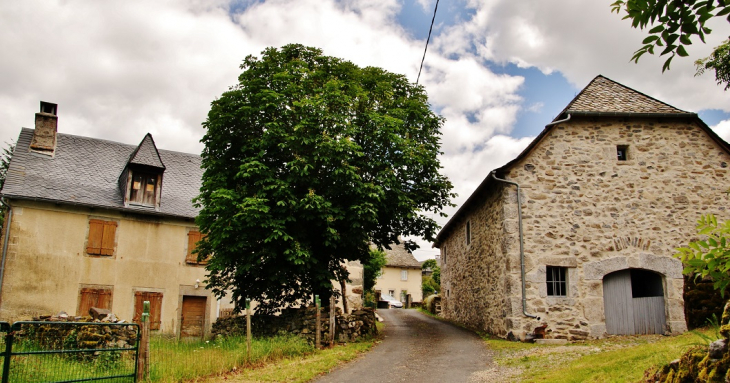  lLe Bousquet - Montpeyroux