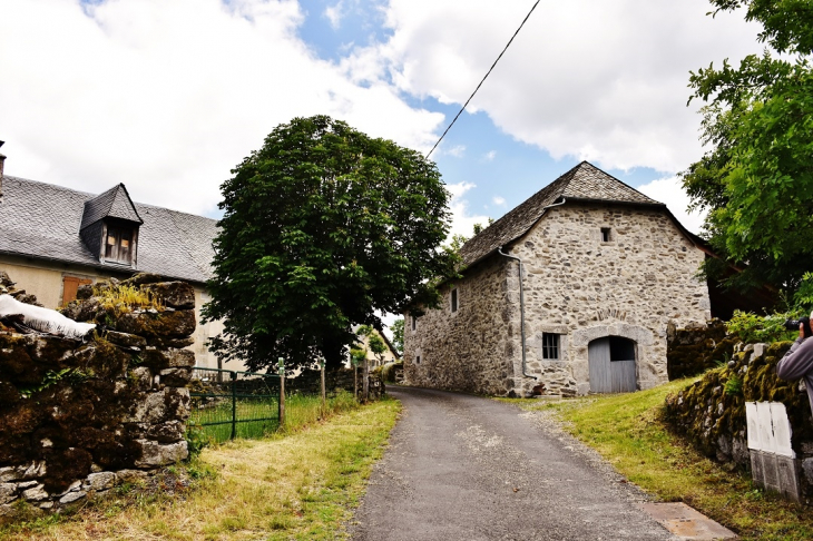  lLe Bousquet - Montpeyroux