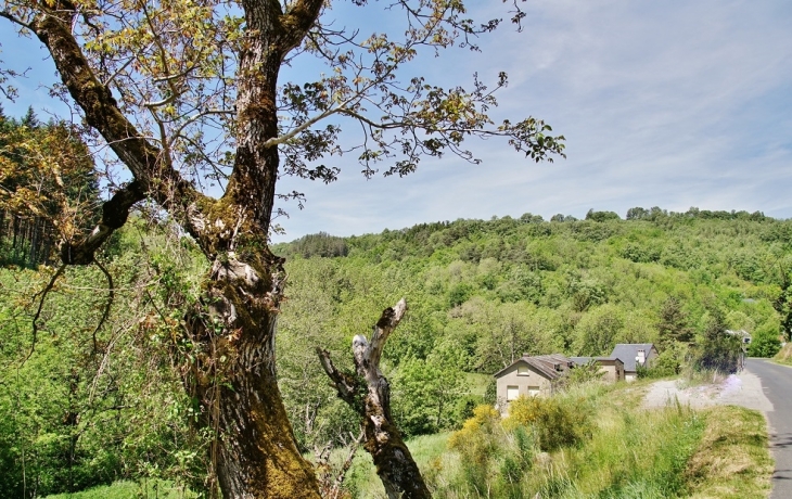 Le Village - Mounes-Prohencoux