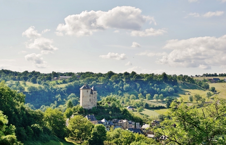 Le Château - Muret-le-Château