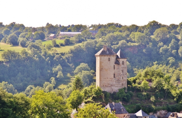 Le Château - Muret-le-Château