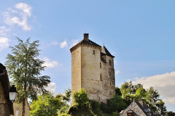 Le Château - Muret-le-Château