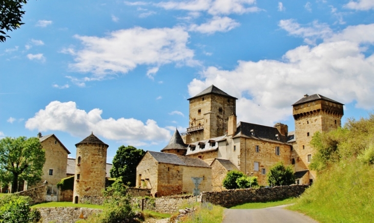 Le Château - Pierrefiche