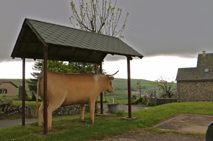 La vache  - Prades-d'Aubrac