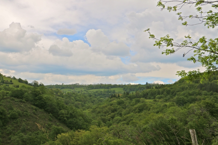 Aux alentours. - Prades-d'Aubrac