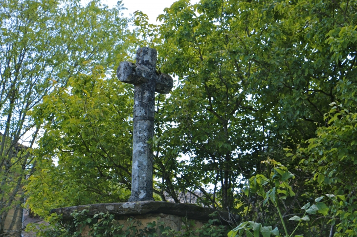 Croix de chemin aux alentours de Lunet. - Prades-d'Aubrac