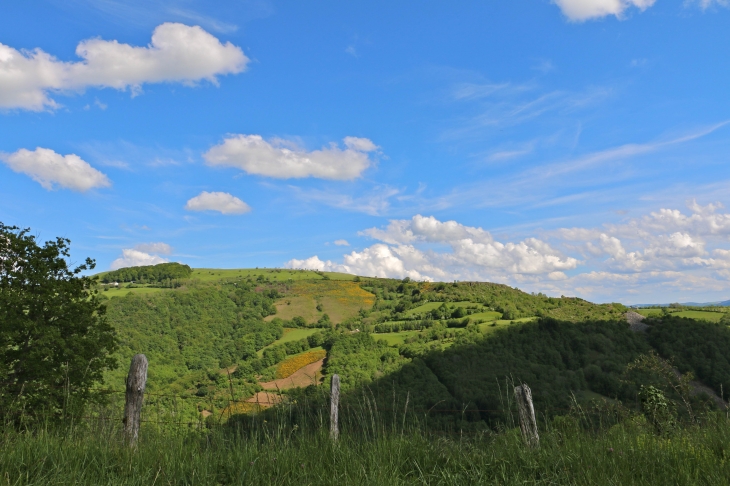 Aux alentours de Lunet. - Prades-d'Aubrac